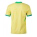 Camiseta Brasil Primera Equipación Copa America 2024 manga corta